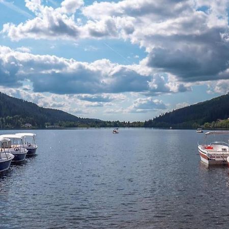 Lepanges-sur-Vologne Studio Cosy Ambiance Vosgienne A 20 Mn De Gerardmer מראה חיצוני תמונה