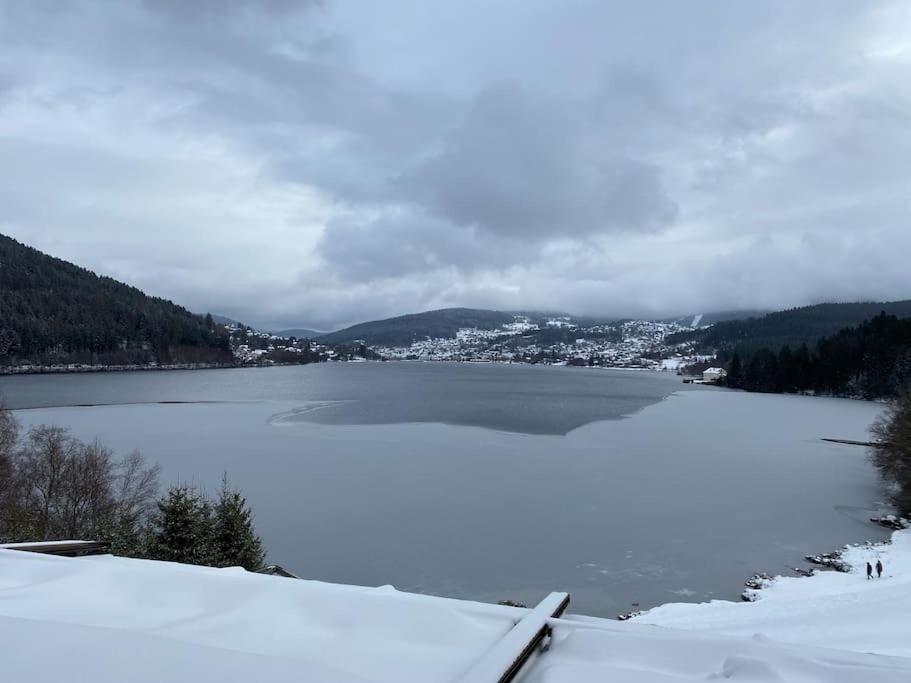 Lepanges-sur-Vologne Studio Cosy Ambiance Vosgienne A 20 Mn De Gerardmer מראה חיצוני תמונה