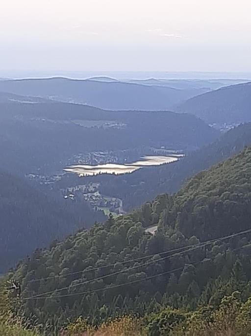 Lepanges-sur-Vologne Studio Cosy Ambiance Vosgienne A 20 Mn De Gerardmer מראה חיצוני תמונה